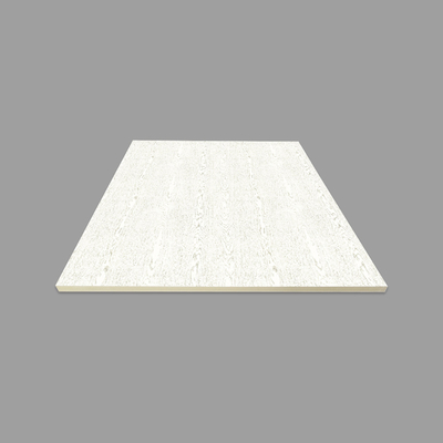 De Bekledings Anticorrederende stof 1220mmx2600mmx9mm van de Wpc Binnenlandse Muur