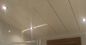 De waterdicht Pvc-Tegels van het Badkamersplafond/Mouldproof-Plafond die Dak behandelen