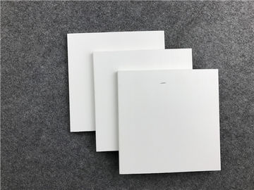 Goede prijs Witte WPC-Muurbekleding/Houten plastic samengestelde Muurplanken online