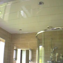 Goede prijs De Comités van de Mouldproofupvc Muur Plafond dat Dak voor Douche behandelt online